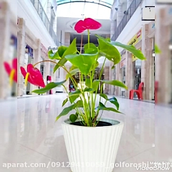 بهترین هدیه برای معلم زن09129410059 تهران