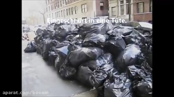 سگ نجات یافته از المیراب