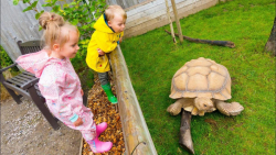 برنامه کودک بانوان سرگرمی کودک...