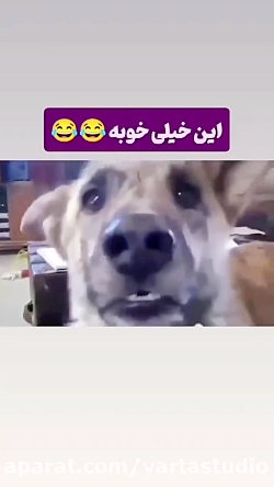 احممممدددد