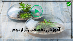 تراريوم مينياتوري