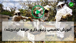 آموزش زنبورداری رایگان-زنبورداری مدرن-ساختن تله ی زنبور وحشی