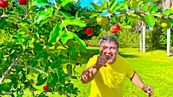 استیسی شو استیسی و بابایی ناست...