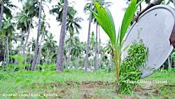 بهل پوری خوشمزه بهل پوری با دو...