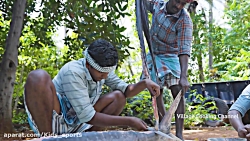 طرز تهیه ماهی غول پیکر با وزن...