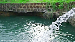 دستور پخت 3 عدد گوشت گوسفندی س...