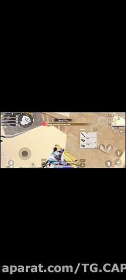 کشتن محافظ معبد (فرعون) در پابجی موبایل