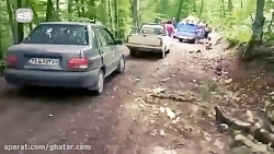 بریدن درختان جنگل هیرکانی برای نذری محرم!