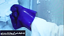 دیدار پژوهشگران و مدیران جهاددانشگاهی با رییس جمهور( فیلم کامل) دیدار پژوهشگران و مدیران جهاددانشگاهی با رییس جمهور( فیلم کامل)