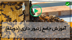آموزش ساخت کندو عسل-روش تولید عسل-میکروسکوپی تجهیزات