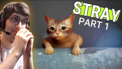 گیم پلی بازی STRAY | ماجرای گربه دوست داشتنی پارت 1