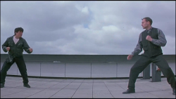 مبارزه فوق العاده زیبای جکی چا...