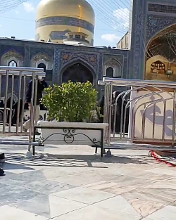 کلیپ ： یا رضا ع گفتمو وا شد به نگاهت گره ها ۰
