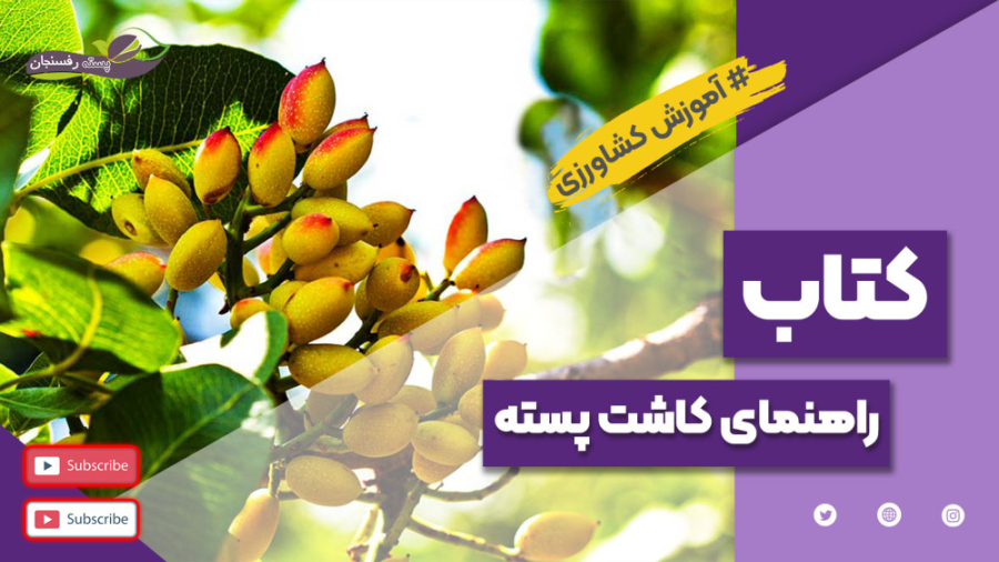 معرفی کتاب راهنمای کاشت پسته و خواص درمانی آن گیمر دماغ‌آلبالویی