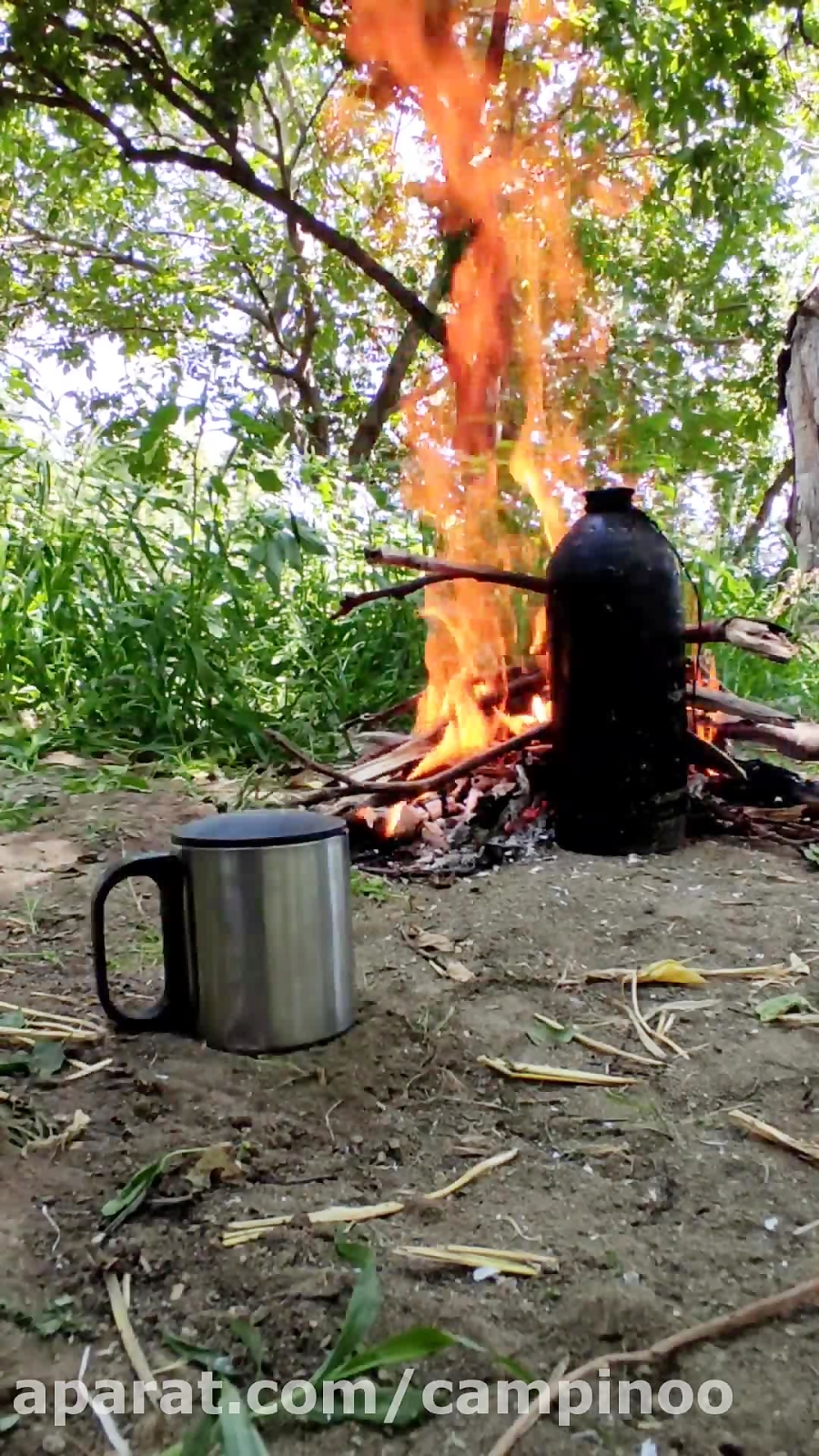 چای لاهیجان با قوتو کرمان چی میگه ؟! :)