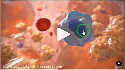 فیلم تولید گلبول قرمز در مغز استخوان-زیست دهم-مهدی محمد حسین زاده زیبایی پوست