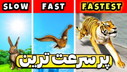 سریع ترین حیوان در جی تی ای وی!! جی تی ای وی GTA V جی تی ای ۵!! gta 5