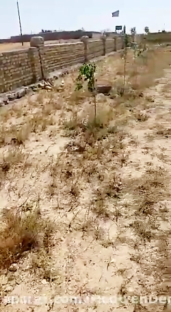 گزارش حال درختان رویشگاه همدان روستای بابانظر ١٥ مردادماه ١٤٠١