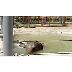 آب بازی " مایسا" بچه...