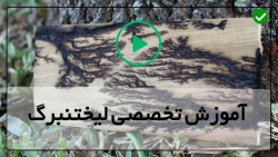 آموزش ارتقاء دستگاه لیختنبرگ-سفید کردن چوب