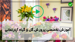 پرورش گل و گیاه در خانه