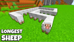 بزرگترین گوسفند در ماینکرافت! ماینکرفت ماین کرافت ماین کرافت Minecraft
