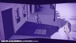 دختر کفشدوزکی و گربه سیاه دوبل...