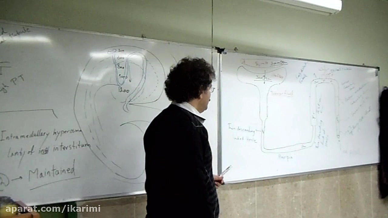 فیزیولوژی کلیه: مقدمه ای بر نفرولوژی حمید هیراد
