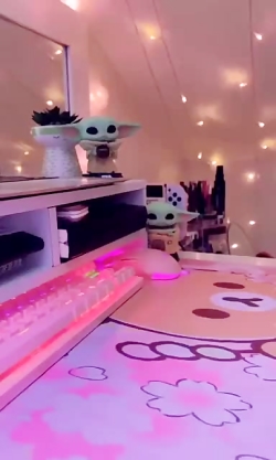 کیوته پس میشه فالوم کنی