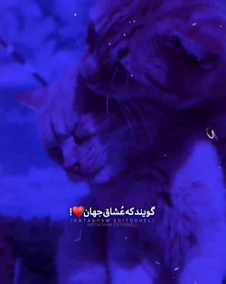 کلیپ عاشقونه خاص || زیباترین د...