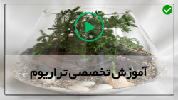 آموزش ساخت تراریوم خزه-ساخت تراریوم-نحوه ساخت تراریوم آبی