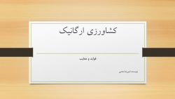 کشاورزی ارگانیک