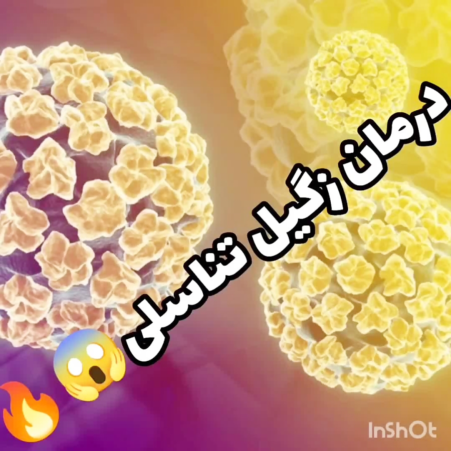 ویروس اچ پی وی در زنان ویروس اچ پی وی در زنان