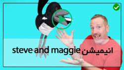 ماجراهای استیو و مگی