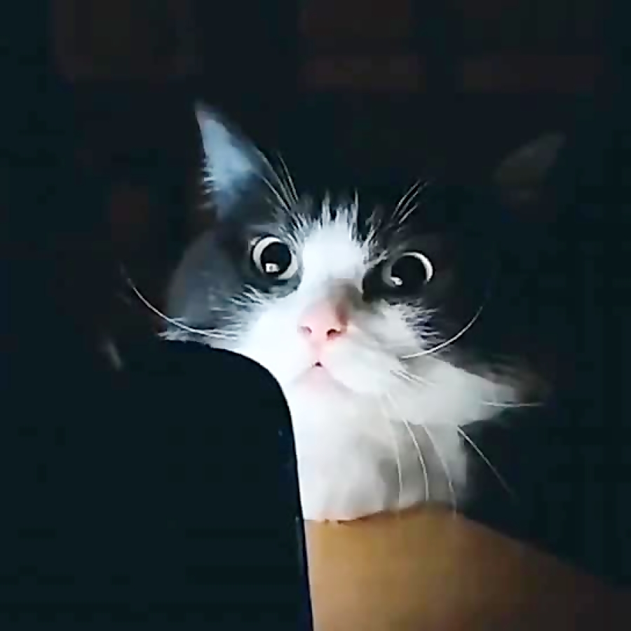 Евгений копарев