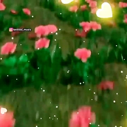 تولدت مبارک عشقم شهریوری عزیزم