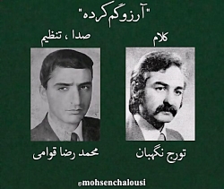 آرزو گم کرده ، محمدرضا قوامی