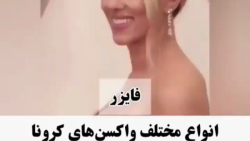  فیلم های پر طرفدار طنز های پر...