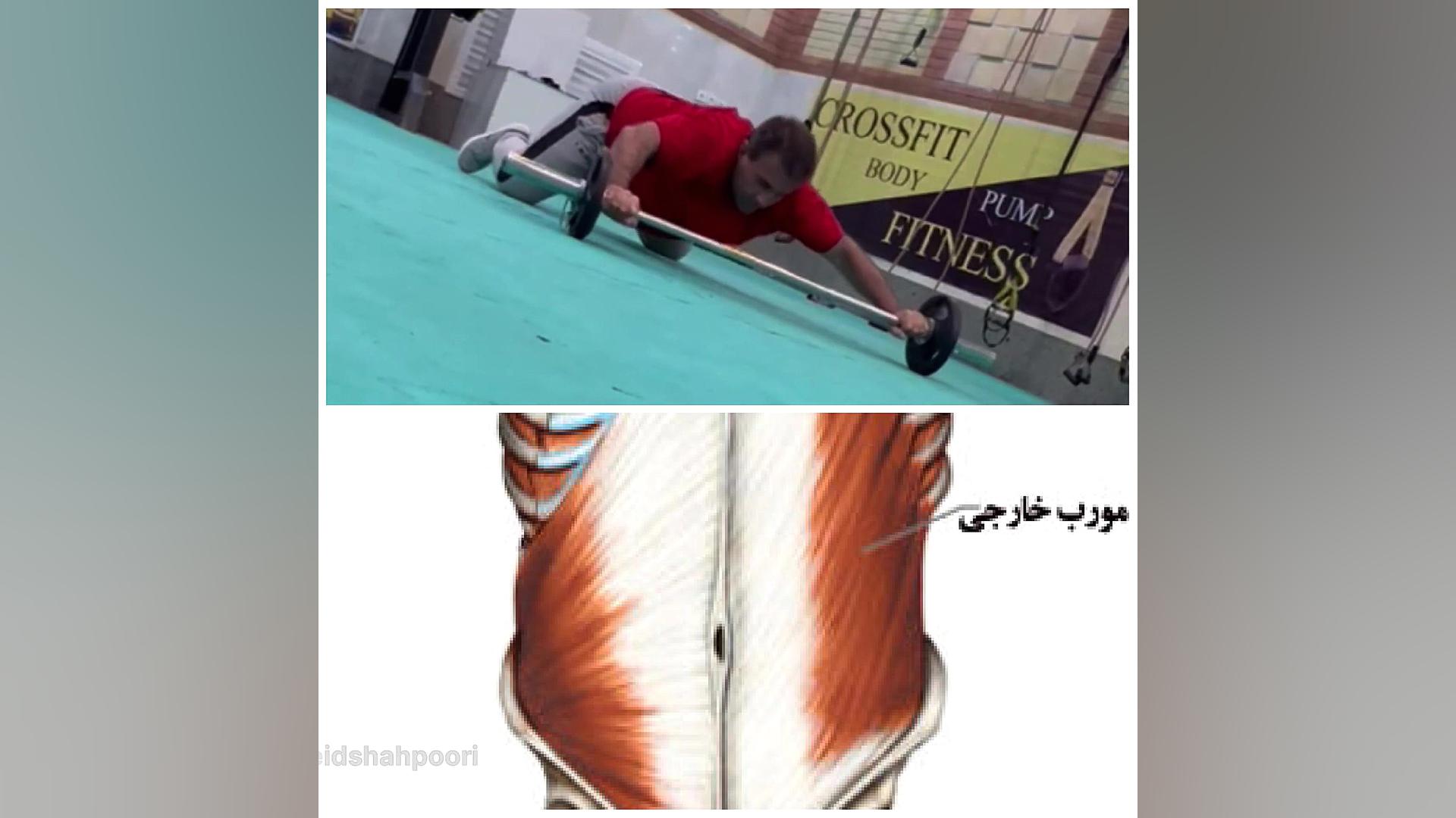 حرکت تقویت عضلات زیر بغل دکتر سعید شاهپوری