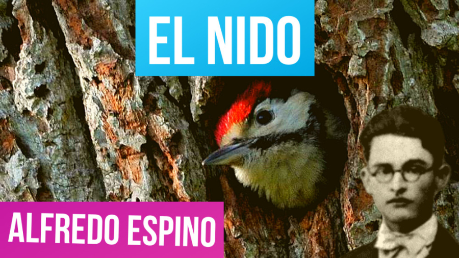 EL NIDO Alfredo Espino El Nido Poema de Alfredo Espino