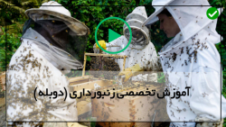 زنبورداری-آموزش زنبورداری رایگان-احداث زنبورداری جدید
