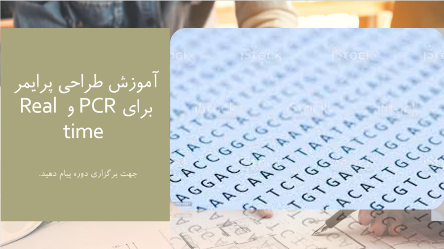 تفاوت پی سی آر و ریل تایم پی سی آر PCR vs Real Time PCR لنز تماسی دارورسان