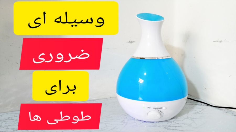 با این وسیله سلامت طوطیتو تضمین کن فشن شو