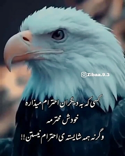 کلیپ تیکه دار || کلیپ برای تیکه انداختن || کلیپ احترام گذاشتن