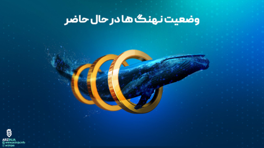 نهنگ , بازار , ارزهای , دیجیتال , وضعیت , کف , قیمت , مارکت , میرسه , !!
------------------------------------------------------------------------------------------
https: , arzinja , info