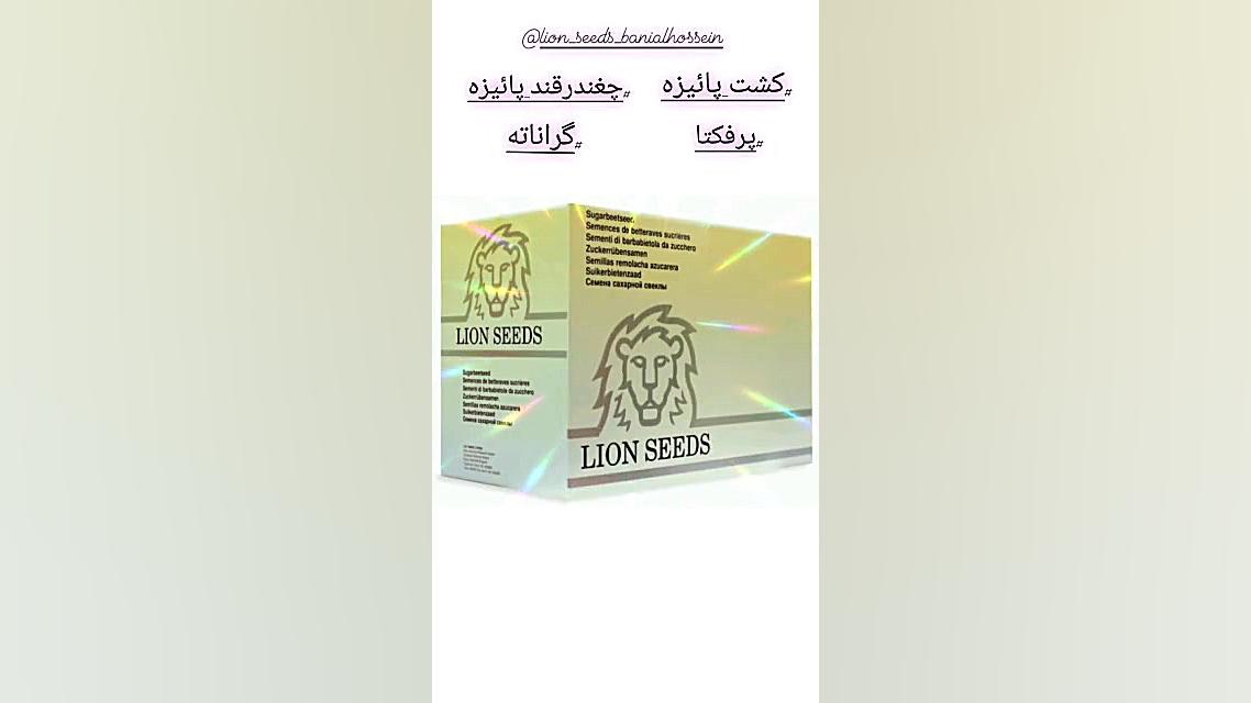کشت ارقام پائیزه چغندرقند اندودنتیکس