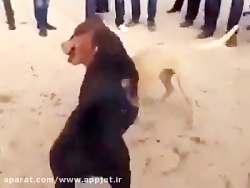 نبرد وحشیانه و خونین سگ ها