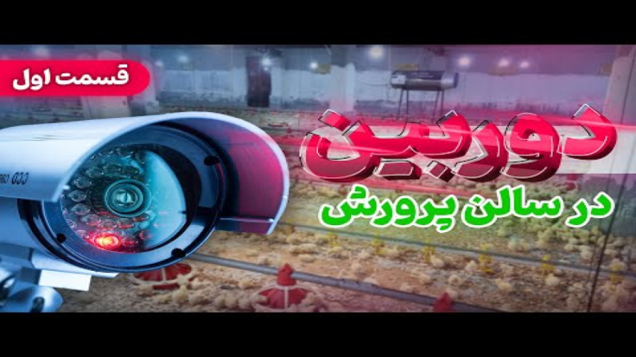دوربین مداربسته در سالن مرغداری (قسمت اول) دکتر محمد مهدی عبدالهی (دامپزشک)