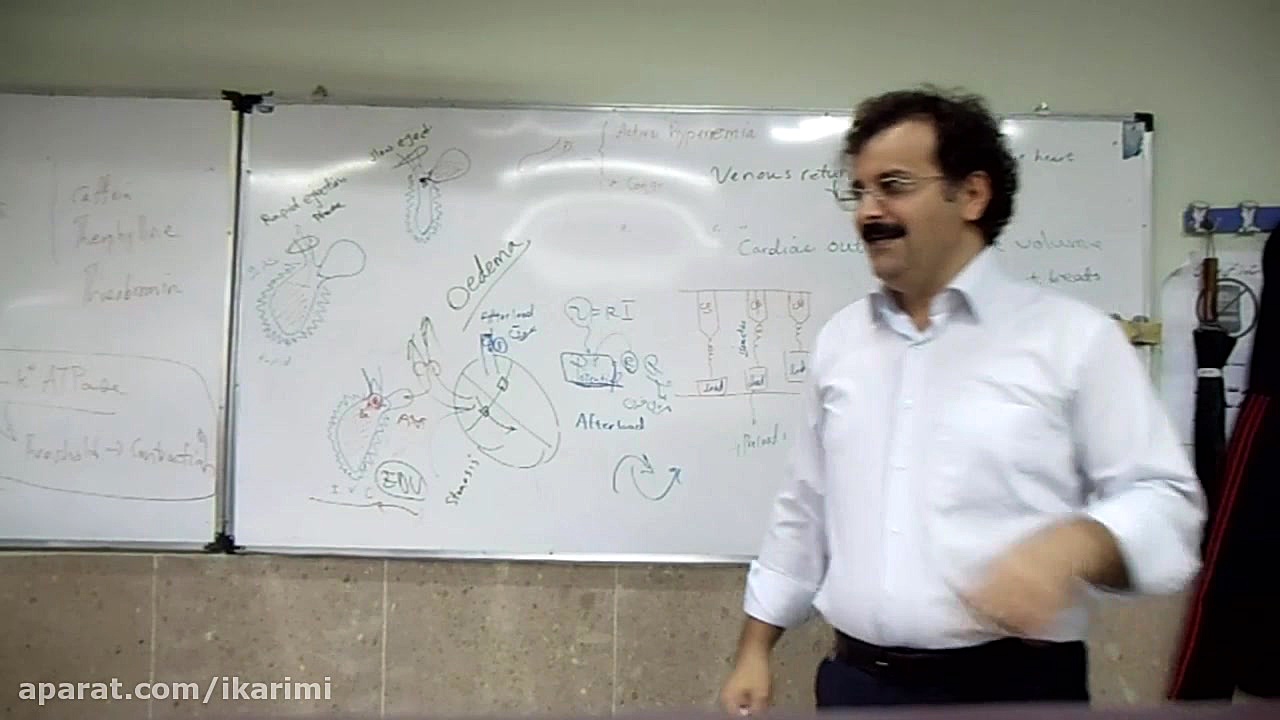 بیومکانیک قلب دکتر اسحاق کریمی مرغ قندی