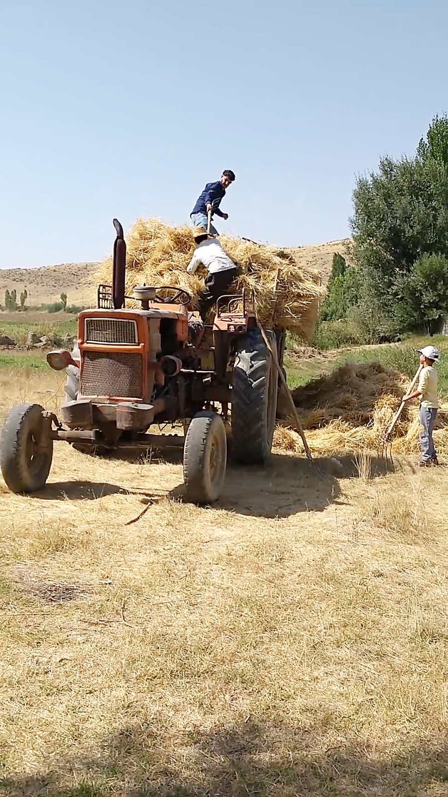 هوزان آیدین hozan aydin کُردی